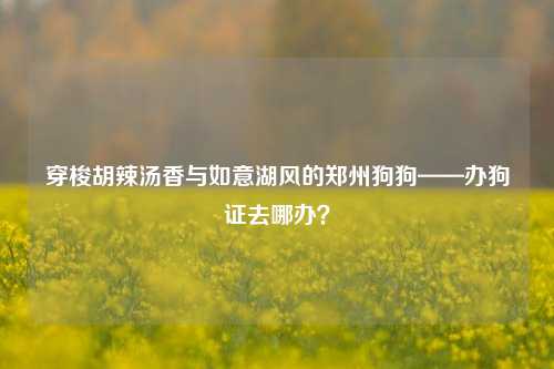 穿梭胡辣汤香与如意湖风的郑州狗狗——办狗证去哪办？