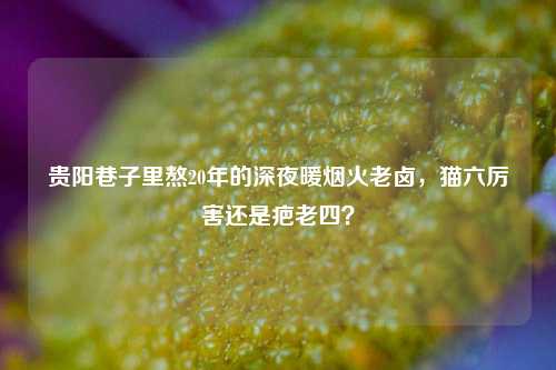 贵阳巷子里熬20年的深夜暖烟火老卤，猫六厉害还是疤老四？
