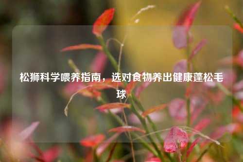 松狮科学喂养指南，选对食物养出健康蓬松毛球
