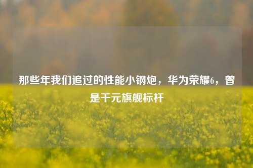 那些年我们追过的性能小钢炮，华为荣耀6，曾是千元旗舰标杆