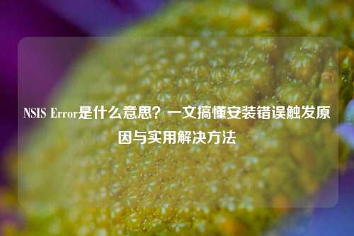NSIS Error是什么意思？一文搞懂安装错误触发原因与实用解决方法