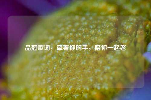 品冠歌词，牵着你的手，陪你一起老
