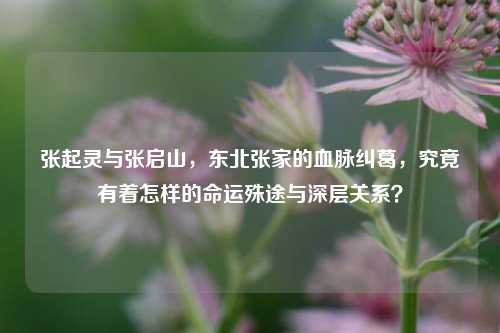 张起灵与张启山，东北张家的血脉纠葛，究竟有着怎样的命运殊途与深层关系？