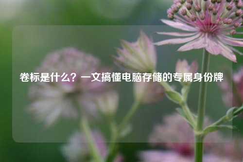 卷标是什么？一文搞懂电脑存储的专属身份牌