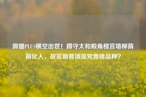 御猫PLUS横空出世!蹲守太和殿角楼宫墙柳荫萌化人,故宫新晋顶流究竟啥品种?
