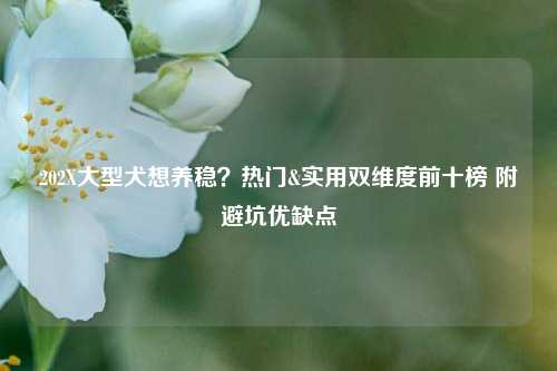 202X大型犬想养稳？热门&实用双维度前十榜 附避坑优缺点