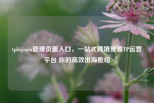 tplogincn管理页面入口，一站式跨境贸易TP运营平台 你的高效出海枢纽