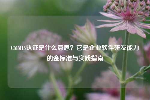 CMMI5认证是什么意思？它是企业软件研发能力的金标准与实践指南