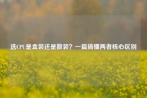 选CPU是盒装还是散装？一篇搞懂两者核心区别