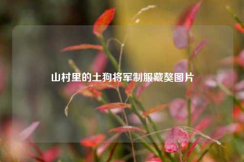 山村里的土狗将军制服藏獒图片