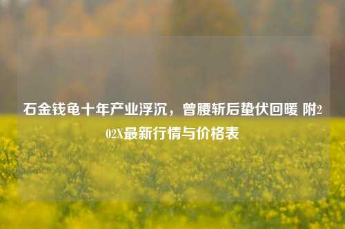石金钱龟十年产业浮沉，曾腰斩后蛰伏回暖 附202X最新行情与价格表