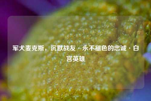 军犬麦克斯，沉默战友·永不褪色的忠诚·白宫英雄