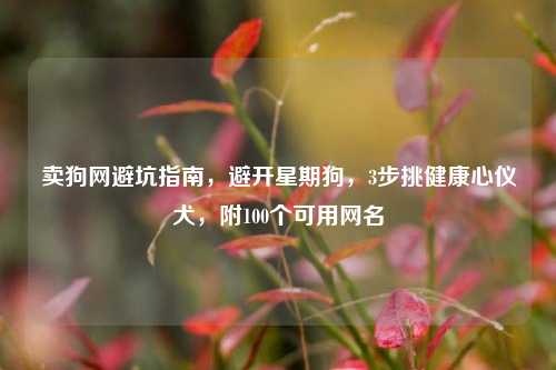 卖狗网避坑指南，避开星期狗，3步挑健康心仪犬，附100个可用网名