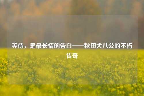等待，是最长情的告白——秋田犬八公的不朽传奇