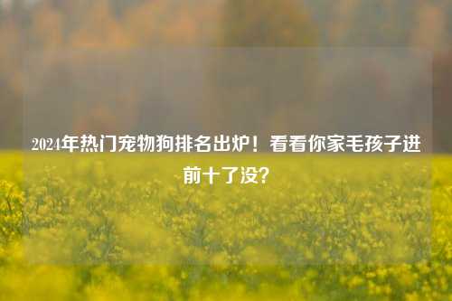 2024年热门宠物狗排名出炉!看看你家毛孩子进前十了没?
