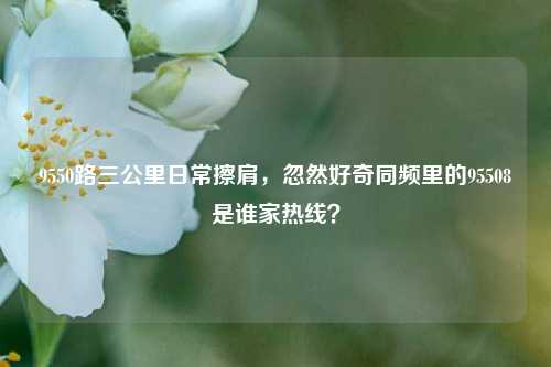 9550路三公里日常擦肩，忽然好奇同频里的95508是谁家热线？