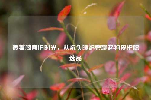 裹着膝盖旧时光，从炕头暖炉旁聊起狗皮护膝选品