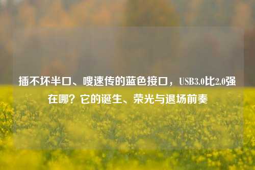 插不坏半口、嗖速传的蓝色接口，USB3.0比2.0强在哪？它的诞生、荣光与退场前奏