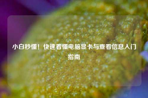 小白秒懂！快速看懂电脑显卡与查看信息入门指南