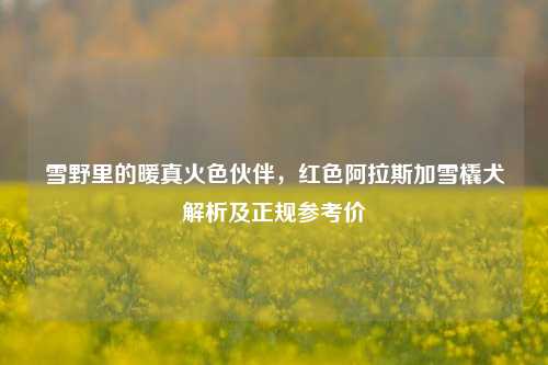 雪野里的暖真火色伙伴，红色阿拉斯加雪橇犬解析及正规参考价