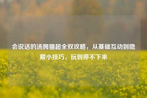 会说话的汤姆猫超全双攻略，从基础互动到隐藏小技巧，玩到停不下来