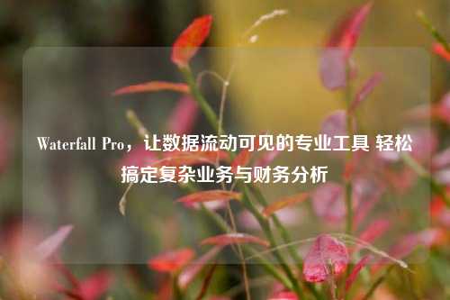 Waterfall Pro，让数据流动可见的专业工具 轻松搞定复杂业务与财务分析