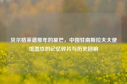 贝尔格莱德那年的星芒，中国驻南斯拉夫大使馆轰炸的记忆碎片与历史回响