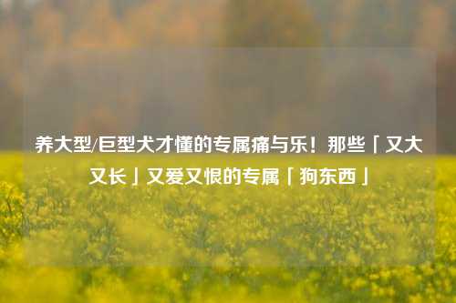 养大型/巨型犬才懂的专属痛与乐!那些「又大又长」又爱又恨的专属「狗东西」