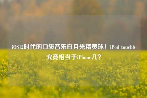 iOS12时代的口袋音乐白月光精灵球!iPod touch6究竟相当于iPhone几?