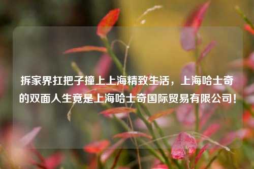 拆家界扛把子撞上上海精致生活,上海哈士奇的双面人生竟是上海哈士奇国际贸易有限公司!
