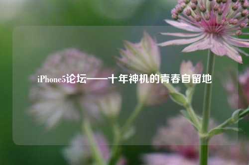 iPhone5论坛——十年神机的青春自留地