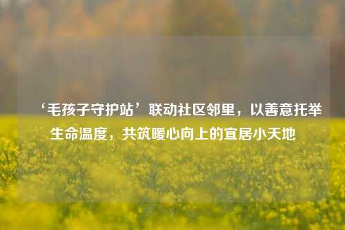 ‘毛孩子守护站’联动社区邻里，以善意托举生命温度，共筑暖心向上的宜居小天地