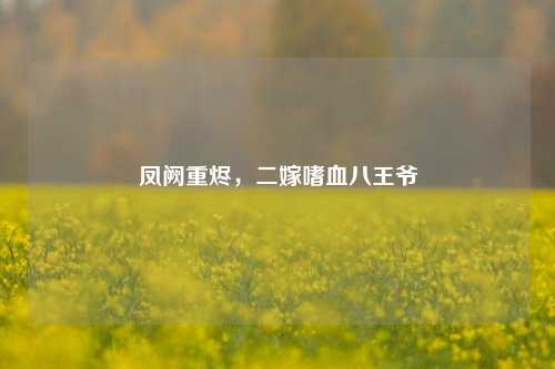 凤阙重烬,二嫁嗜血八王爷