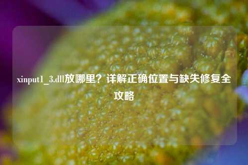 xinput1_3.dll放哪里？详解正确位置与缺失修复全攻略
