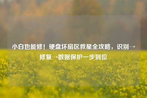 小白也能修！硬盘坏扇区救星全攻略，识别→修复→数据保护一步到位