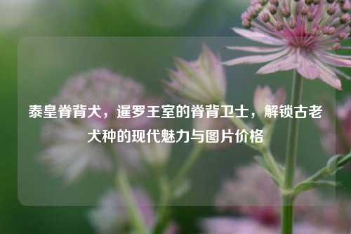 泰皇脊背犬，暹罗王室的脊背卫士，解锁古老犬种的现代魅力与图片价格