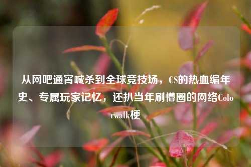 从网吧通宵喊杀到全球竞技场,CS的热血编年史、专属玩家记忆,还扒当年刷懵圈的网络Colorwalk梗