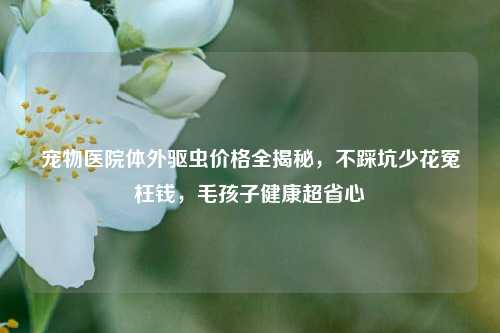 宠物医院体外驱虫价格全揭秘,不踩坑少花冤枉钱,毛孩子健康超省心
