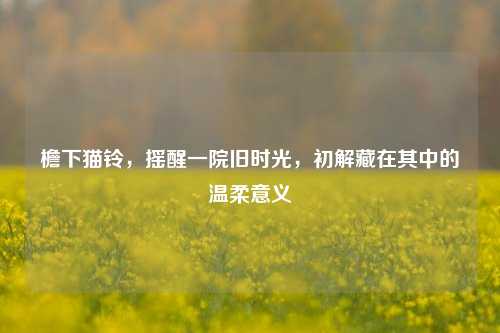 檐下猫铃，摇醒一院旧时光，初解藏在其中的温柔意义