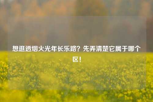 想逛透烟火光年长乐路？先弄清楚它属于哪个区！