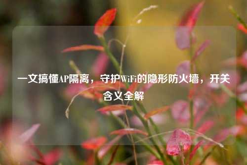 一文搞懂AP隔离，守护WiFi的隐形防火墙，开关含义全解