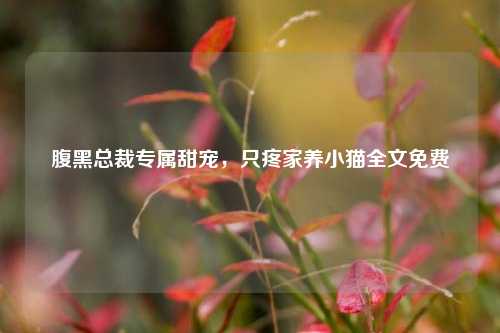 腹黑总裁专属甜宠,只疼家养小猫全文免费