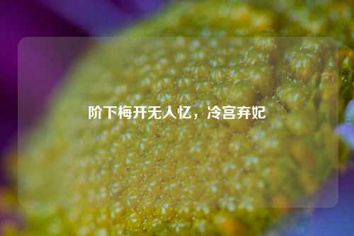 阶下梅开无人忆，冷宫弃妃