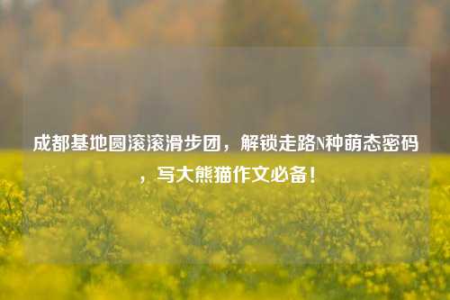 成都基地圆滚滚滑步团，解锁走路N种萌态密码，写大熊猫作文必备！