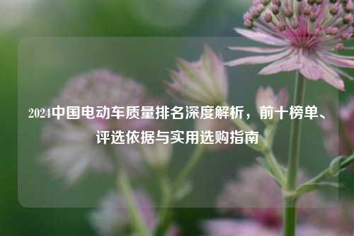 2024中国电动车质量排名深度解析，前十榜单、评选依据与实用选购指南