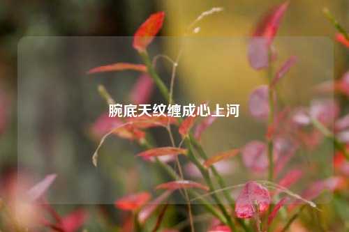 腕底天纹缠成心上河