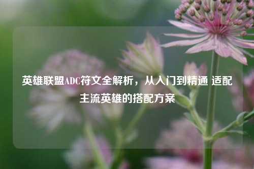 英雄联盟ADC符文全解析,从入门到精通 适配主流英雄的搭配方案