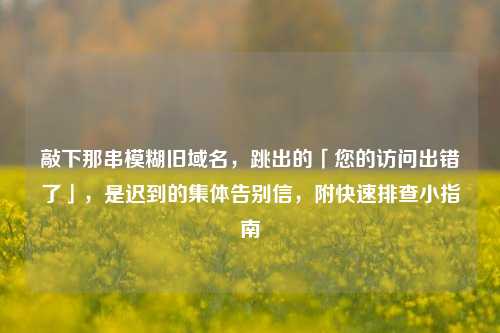 敲下那串模糊旧域名，跳出的「您的访问出错了」，是迟到的集体告别信，附快速排查小指南