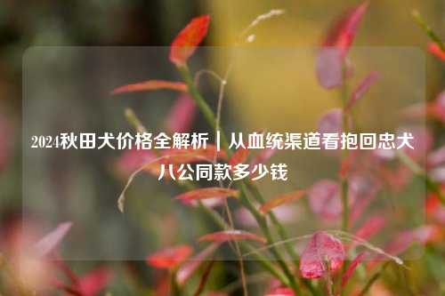 2024秋田犬价格全解析｜从血统渠道看抱回忠犬八公同款多少钱