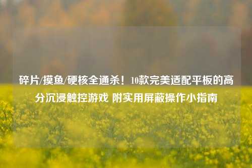 碎片/摸鱼/硬核全通杀!10款完美适配平板的高分沉浸触控游戏 附实用屏蔽操作小指南